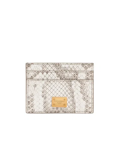 Dolce & Gabbana Python Card Holder In Animal Print