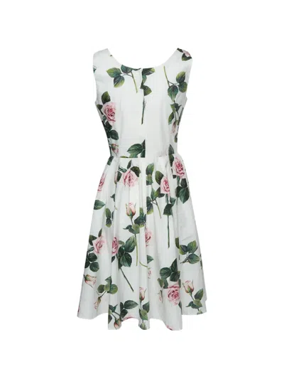 Pre-owned Dolce & Gabbana Rose-print Poplin Midi Dress In White