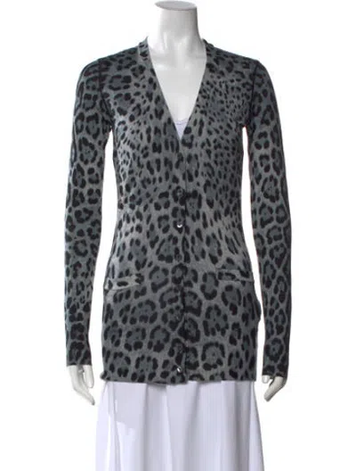 Pre-owned Dolce & Gabbana Virgin Wool Animal Print Sweater In Blue