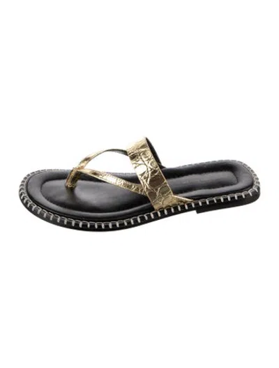 Pre-owned Dries Van Noten Leather Animal Print Flip Flops In Silver