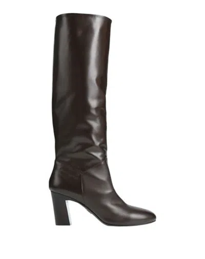 Dsquared2 Woman Boot Dark Brown Size 7 Calfskin In Multi