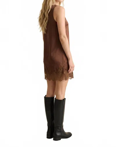 Edit By Nine Lace Edge Shift Dress In Brown In Multi