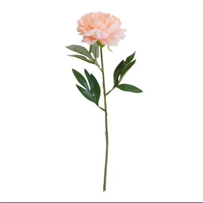 Elements Artificial Peonies, 6 Piece, 18 Inch In Multi
