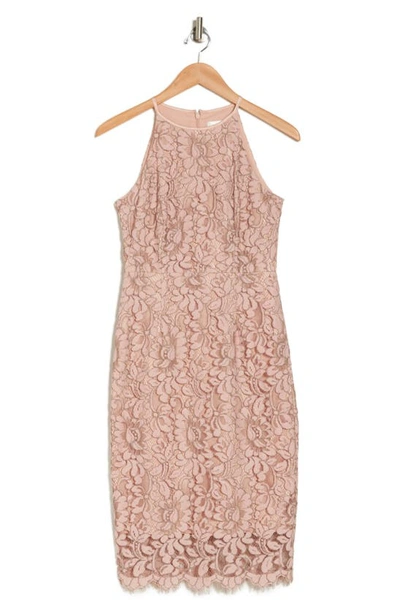 Eliza J Lace Sheath Dress In Blush