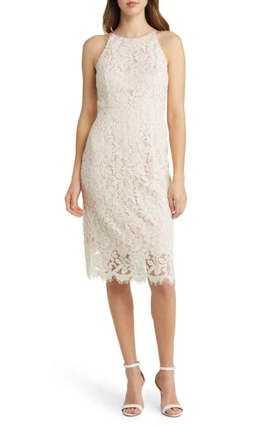 Eliza J Lace Sheath Dress In Ivory Mult