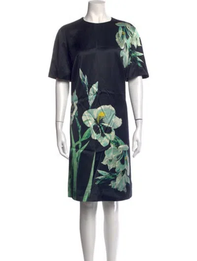 Pre-owned Erdem Floral Print Knee-length Dress In Blue