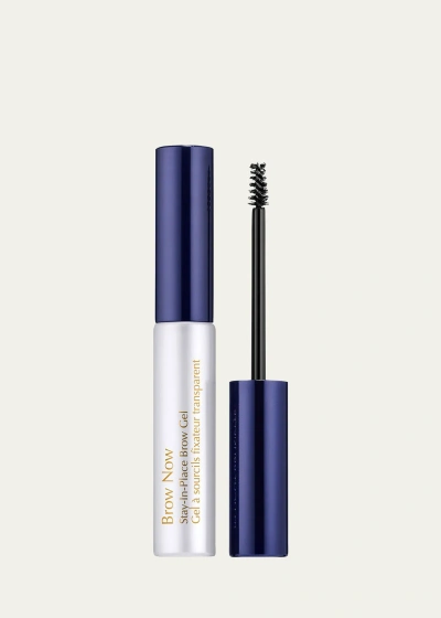 Estée Lauder Brow Now Stay-in-place Brow Gel In Clear