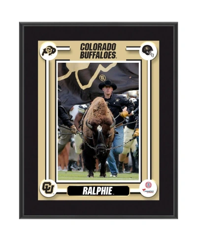 Fanatics Authentic Colorado Buffaloes Ralphie Mascot 10.5'' X 13'' Sublimated Plaque In Multi