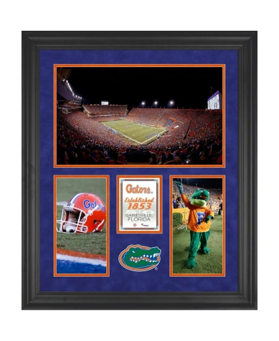 Fanatics Authentic Florida Gators Ben Hill Griffin Stadium Framed 20'' X 24'' 3-opening Collage In Multi