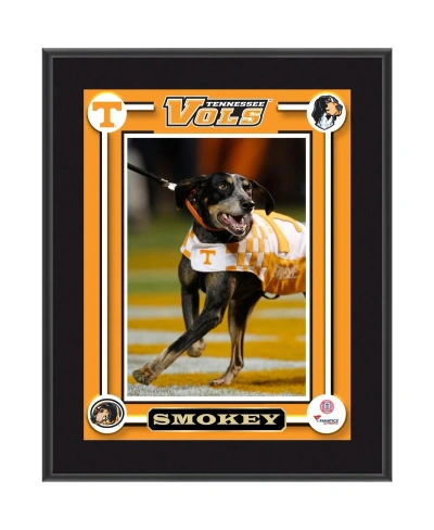 Fanatics Authentic Tennessee Volunteers Smokey Dog Mascot 10.5'' X 13'' Sublimated Plaque In Multi