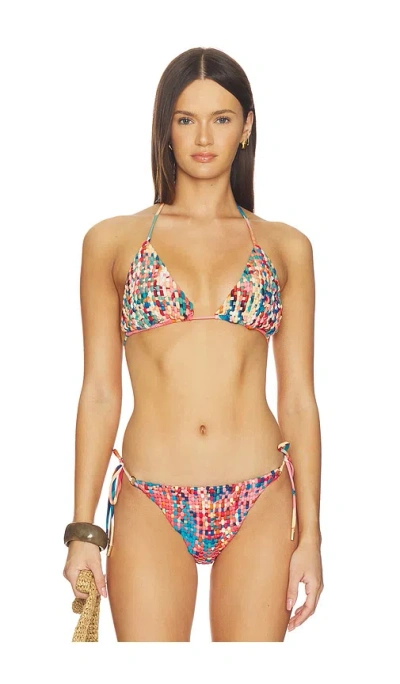 Farm Rio Triangle Bikini Top In Atlantic Rain Forest Multicolored