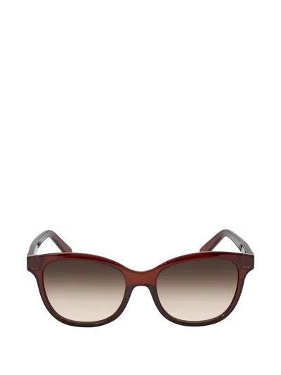 Ferragamo Cat-eye Full-rim Sunglasses In Brown