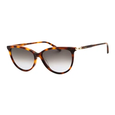 Ferragamo Havana Gradient Sunglasses For Women In Brown