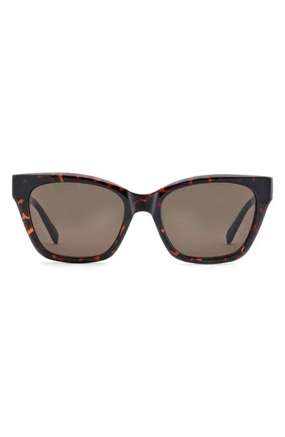 Fossil 53mm Cat Eye Sunglasses In Brown