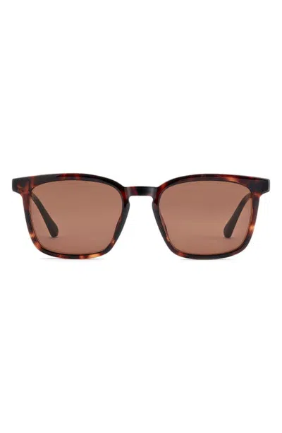 Fossil 53mm Panthos Square Sunglasses In Brown