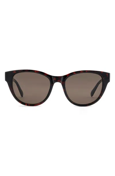 Fossil 53mm Square Sunglasses In Brown