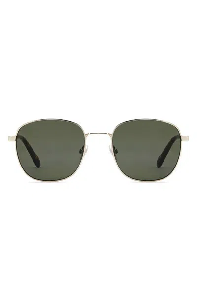 Fossil 53mm Square Sunglasses In Green