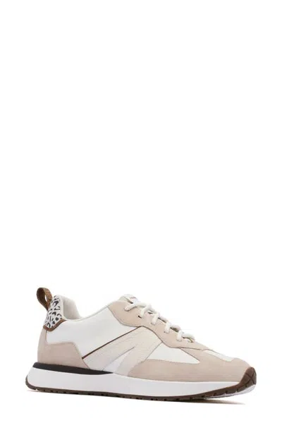 Frankie4 Axel Ii Sneaker In Brown