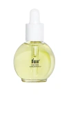 Fur Ingrown Concentrate In N,a