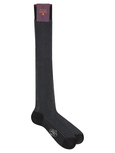 Gallo Cotton Long Socks In Black