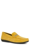 Geox Ascanio Loafer In Yellow