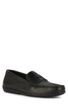 Geox Ascanio Penny Loafer In Black