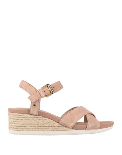 Geox Espadrilles In Pink