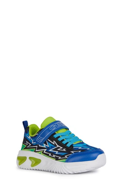 Geox Kids' Assister Light-up Sneaker In Royal/ Lime