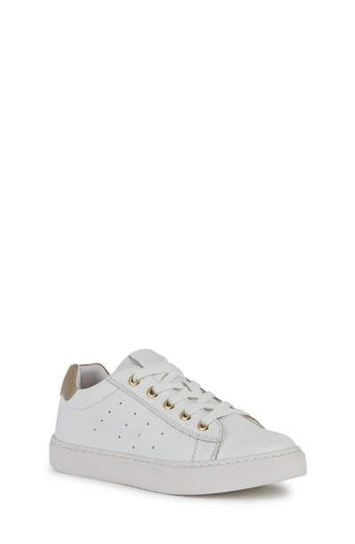 Geox Kids' Nashik Waterproof Low Top Sneaker In White