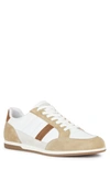 Geox Renan Sneaker In White/ Browncotto