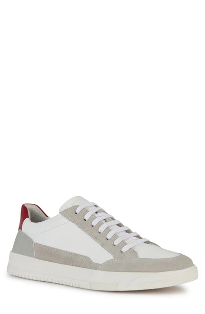 Geox Segnale Trainer In White/ Grey
