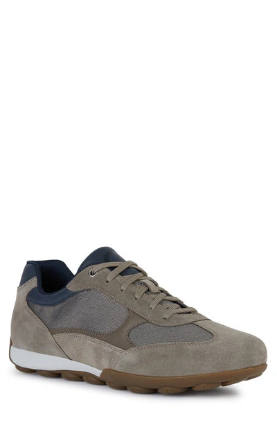 Geox Snake Waterproof Sneaker In Dove Grey