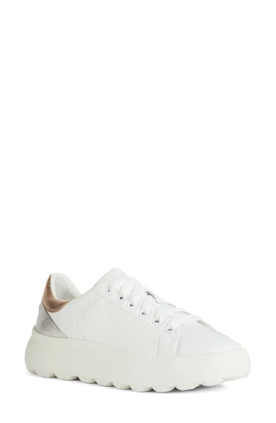 Geox Spherica Ec4.1 Sneaker In White/ Rose Gold