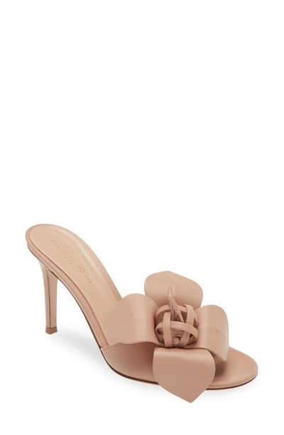 Gianvito Rossi 3d Flower Slide Sandal In Peach