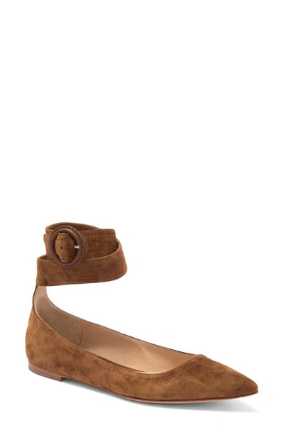 Gianvito Rossi Ankle Strap Pointed Toe Flat In Brown