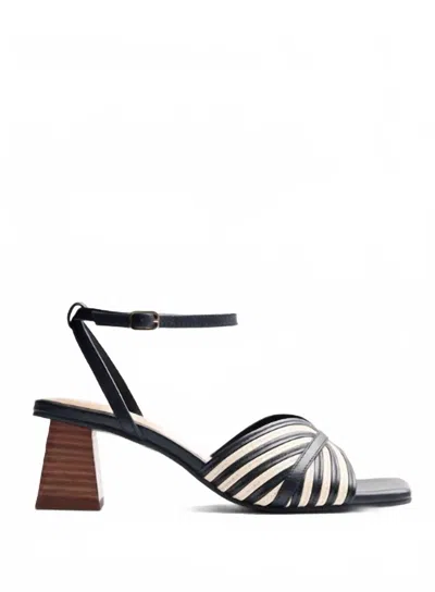 Gioseppo Women's Thornton Sandal In Black