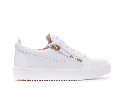 Giuseppe Zanotti Sneakers In White