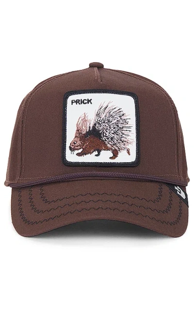 Goorin Brothers Porcupine Hat In 深棕色