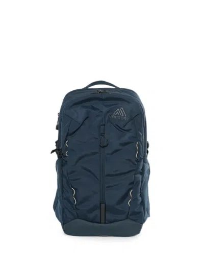 Gregory Terros 25 Backpack In 블루