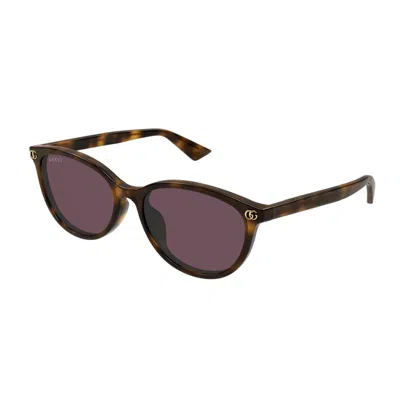 Gucci Havana-inspired Gg Sunglasses For Women In Brown