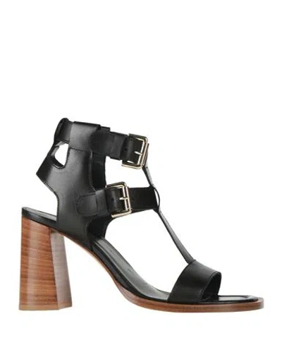 Guglielmo Rotta Woman Sandals Black Size 8 Leather
