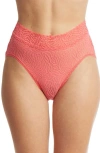 Hanky Panky Animal Mix Lace French Briefs In Wild Card