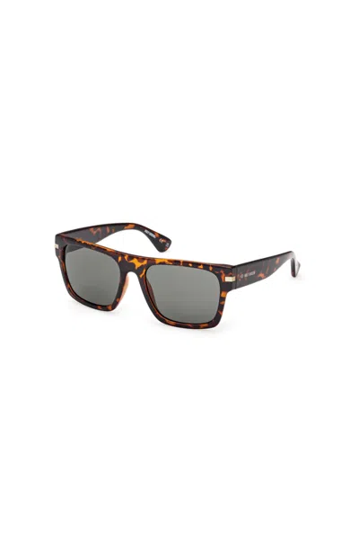 Harley-davidson Flat Top Square Acetate Sunglasses In Brown