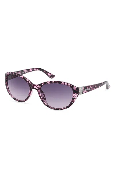 Harley-davidson Oval Acetate Sunglasses In Pink