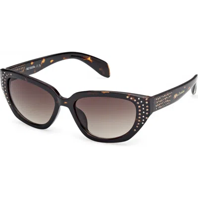 Harley-davidson Studded Cat Eye Acetate Sunglasses In Brown