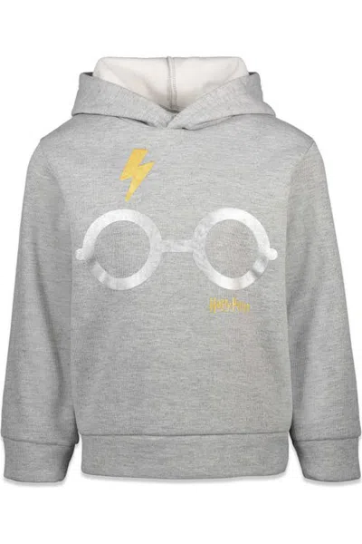 Harry Potter Fleece Pullover Hoodie (toddler, Little Kid & Big Kid) In Gray