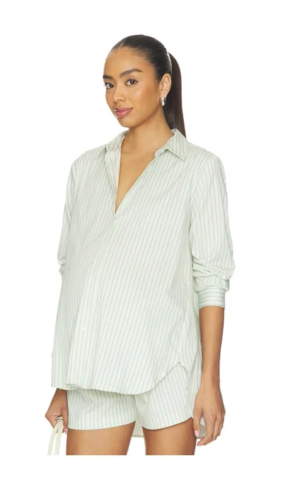 Hatch The Classic Buttondown Shirt In Cream & Green Stripe