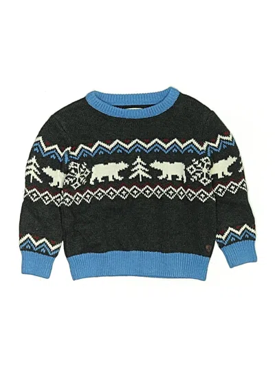 Pre-owned Hatley Kids' Pullover Sweater In Blue
