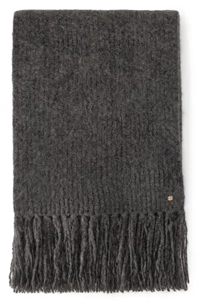 Helen Kaminski Starla Alpaca & Wool Blend Scarf In Charcoal