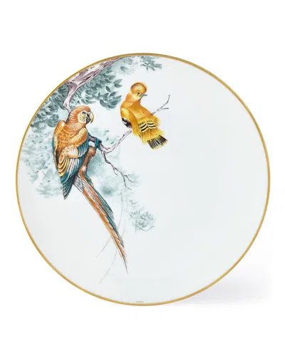 Herm S Carnets D' Equateur Birds Dinner Plate